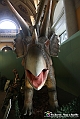 VBS_0890 - Dinosauri. Terra dei giganti